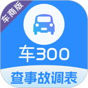车300专业版 图标