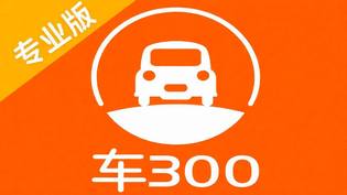 车300专业版所有版本合集